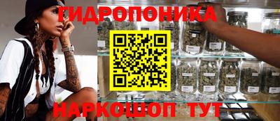 мяу мяу мука Партизанск