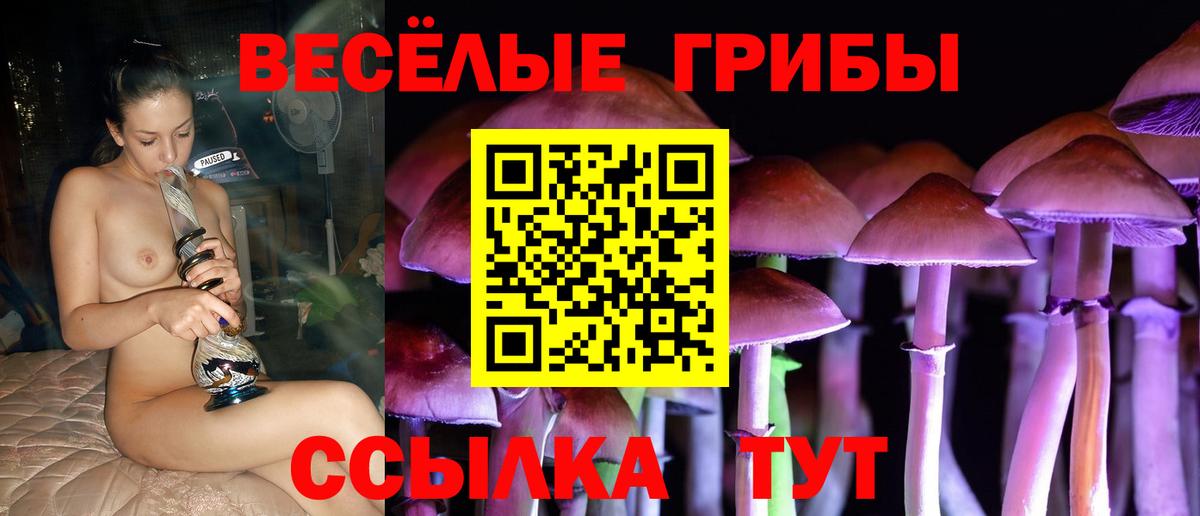 Саратов  Галлюциногенные грибы ЛСД  купить  цена  Вход с VPN 